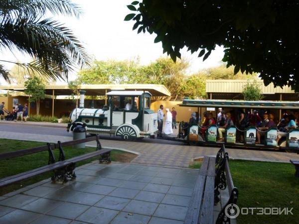 Зоопарк Аль-Айна (Al Ain Zoo) (ОАЭ, Аль-Айн) фото