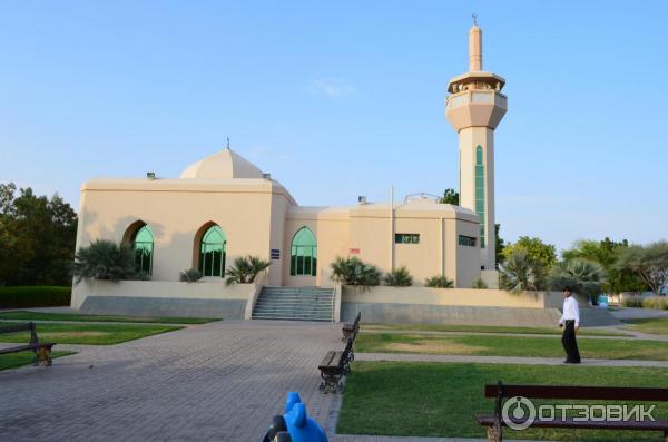 Зоопарк Аль-Айна (Al Ain Zoo) (ОАЭ, Аль-Айн) фото