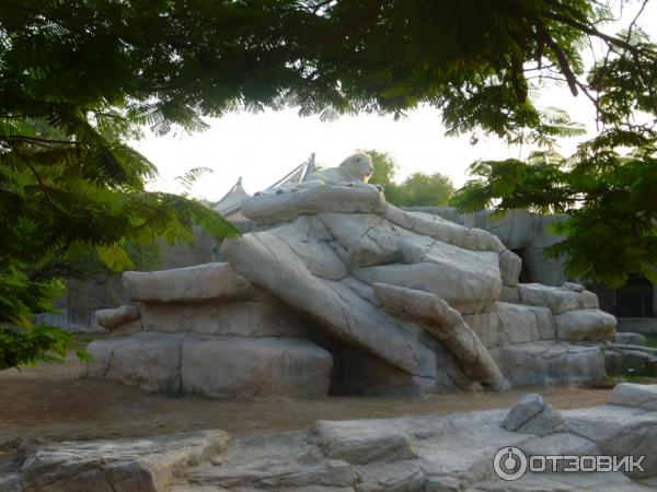 Зоопарк Аль-Айна (Al Ain Zoo) (ОАЭ, Аль-Айн) фото