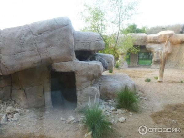 Зоопарк Аль-Айна (Al Ain Zoo) (ОАЭ, Аль-Айн) фото