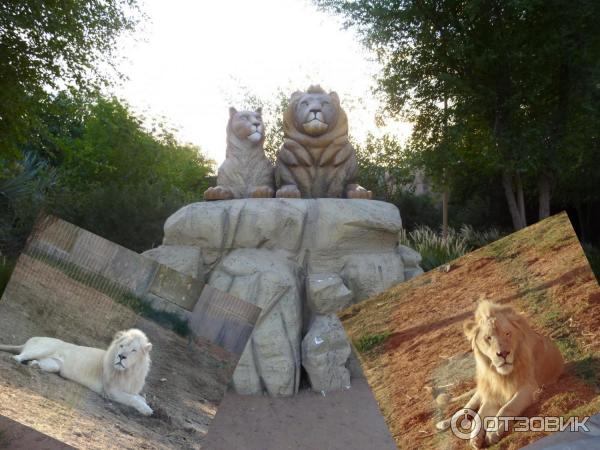 Зоопарк Аль-Айна (Al Ain Zoo) (ОАЭ, Аль-Айн) фото