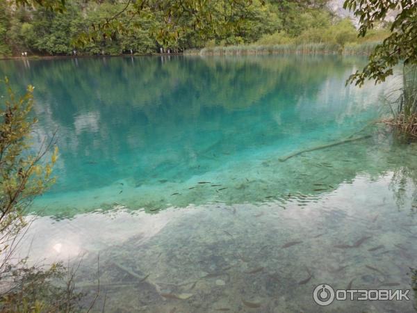 Отдых в г. Пула (Хорватия, полуостров Истрия) фото