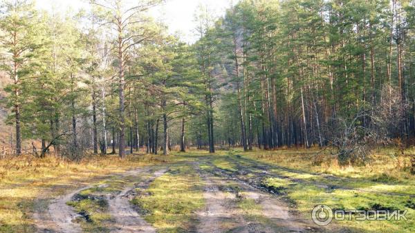 Голубые озера (Россия, Алтай) фото