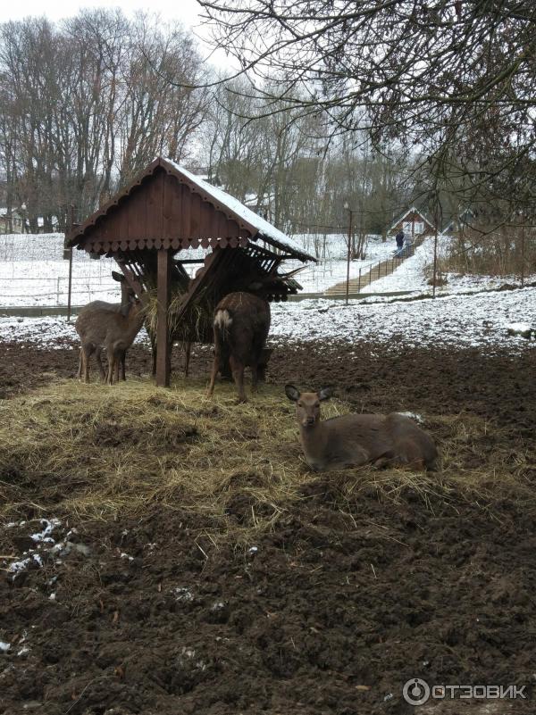 Отель Царьград Спас-Тешилово (Россия, Московская область) фото