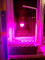 Светодиодная лампа Uniel LED для растений фото