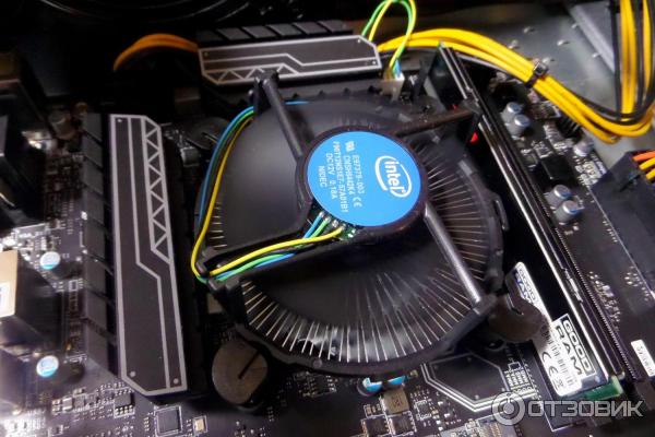 Процессор Intel Celeron G3930 фото