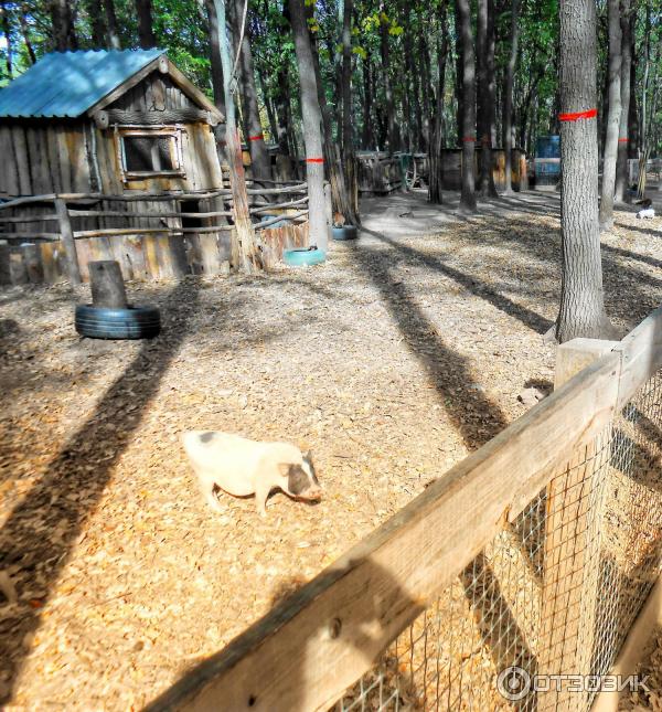 Парк Feldman Ecopark (Украина, Харьков) фото