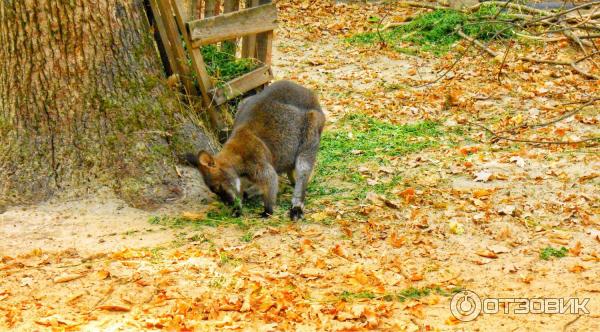 Парк Feldman Ecopark (Украина, Харьков) фото