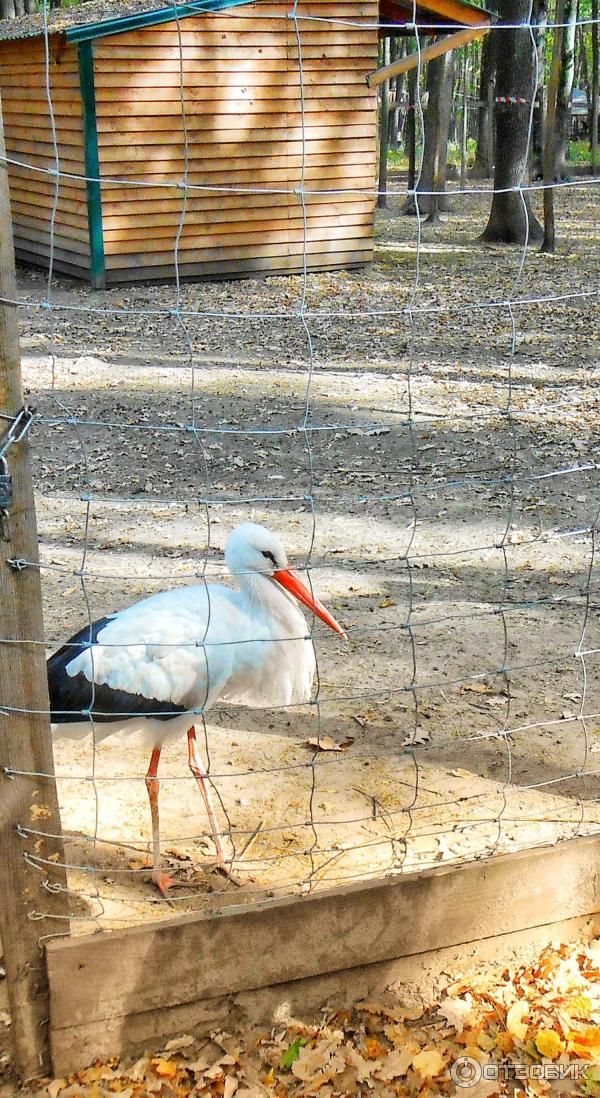 Парк Feldman Ecopark (Украина, Харьков) фото