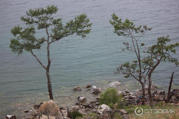 База отдыха Солнечная (Россия, Байкал) фото