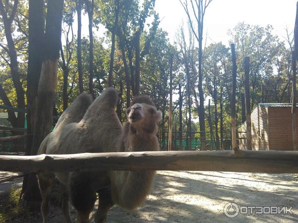 Парк Feldman Ecopark (Украина, Харьков) фото