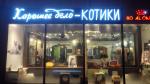 Кафе "Котики и люди" (Россия, Москва) фото