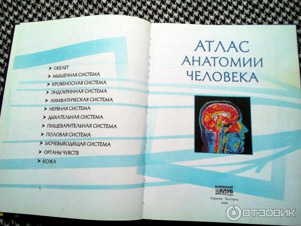 Книга Атлас анатомии человека - издательство Клуб Семейного Досуга фото