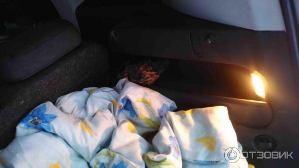 Автомобиль Skoda Roomster - универсал фото