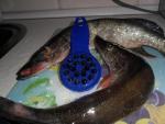 Рыбочистка LuxFish фото