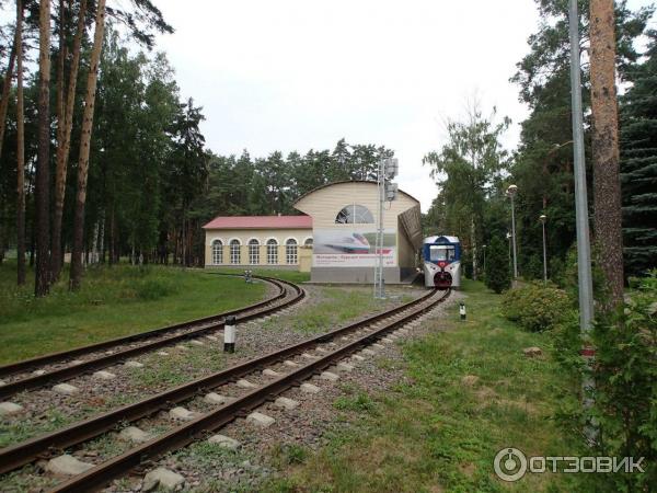 Экскурсия на Малую Московскую железную дорогу (Россия, Кратово) фото