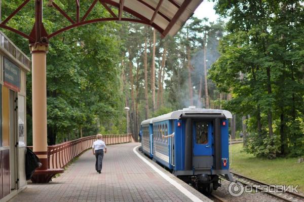 Экскурсия на Малую Московскую железную дорогу (Россия, Кратово) фото