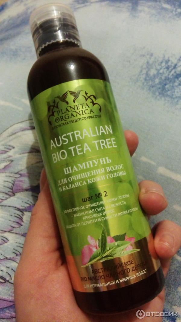 Комплекс глубокое очищение волос и баланс кожи головы AUSTRALIAN BIO TEA TREE фото