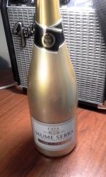 Вино игристое белое брют Cava Jaume Serra фото