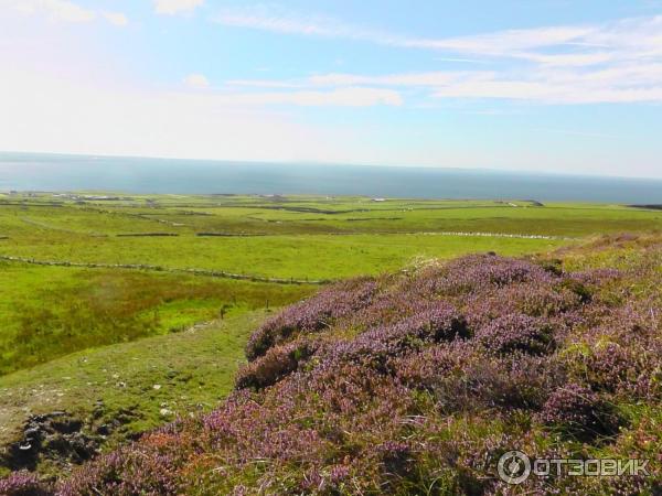 Утесы Мохер Cliffs of Moher (Ирландия, графство Клэр) фото