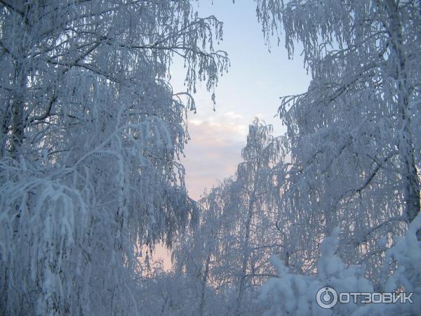 Лесопарк Кумысная поляна (Россия, Саратов) фото