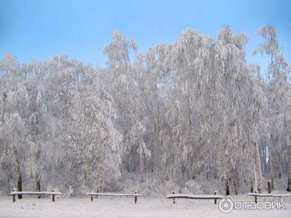 Лесопарк Кумысная поляна (Россия, Саратов) фото