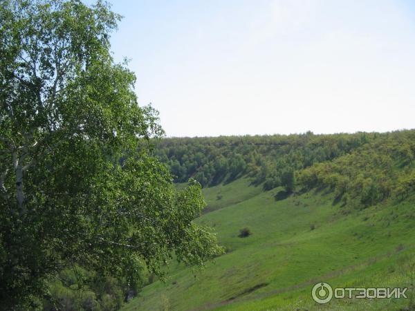 Лесопарк Кумысная поляна (Россия, Саратов) фото