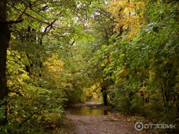 Лесопарк Кумысная поляна (Россия, Саратов) фото