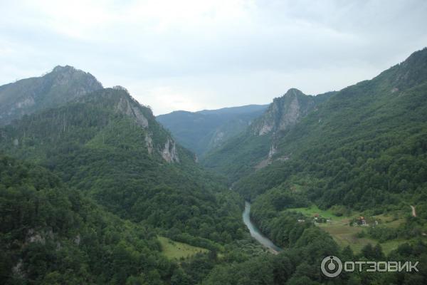 Мост Джурджевича над рекой Тара (Черногория, Плевля) фото