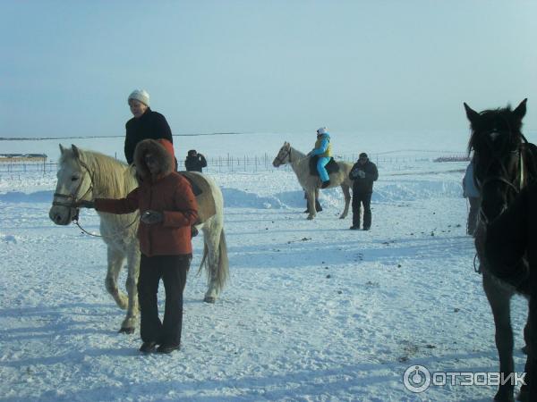 Сибирское подворье (Россия, с. Новотоырышкино) фото