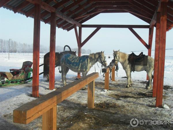 Сибирское подворье (Россия, с. Новотоырышкино) фото