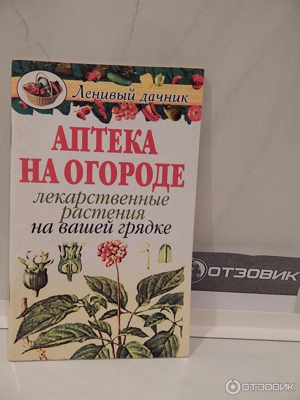 Аптека на огороде Лекарственные растения на вашей грядке фото