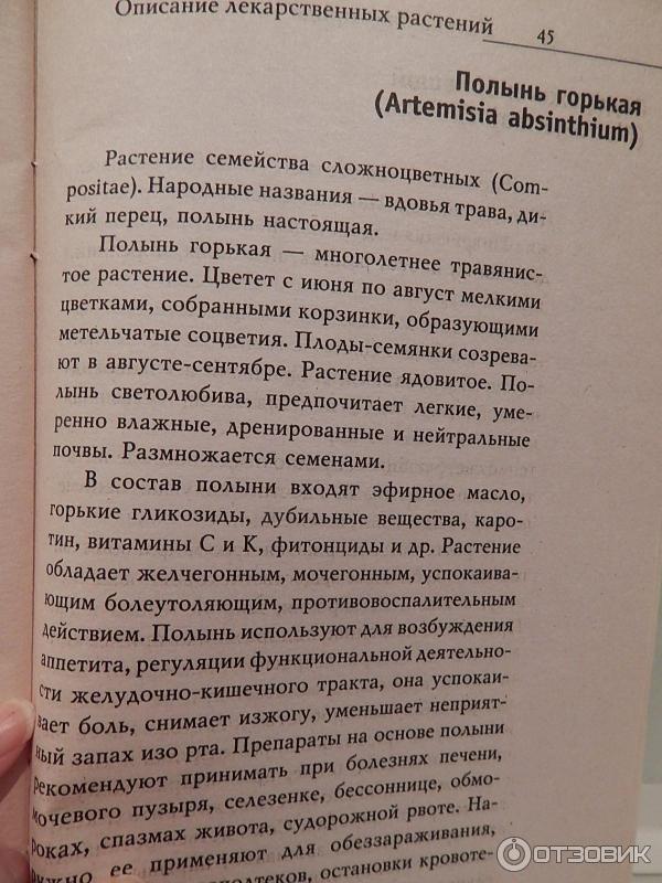 Аптека на огороде Лекарственные растения на вашей грядке фото