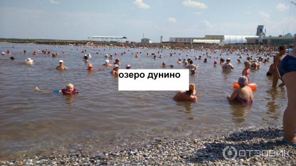 Вода в озере соль илецка. Озеро Дунино соль-Илецк рачки. Соль Илецк пресное озеро. Соль Илецк рачки в озере. Семь озер соль-Илецк.