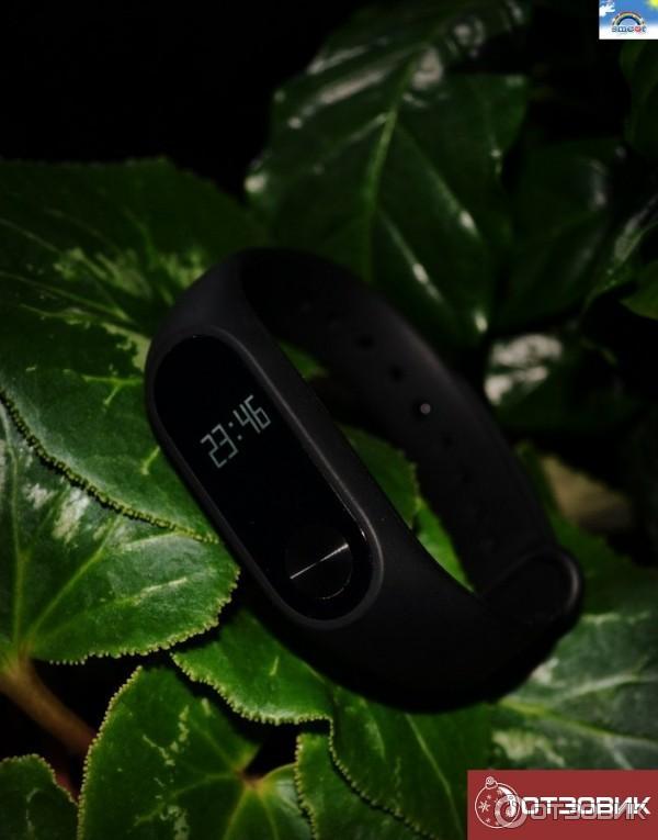 Фитнес-браслет Xiaomi Mi Band 2 фото