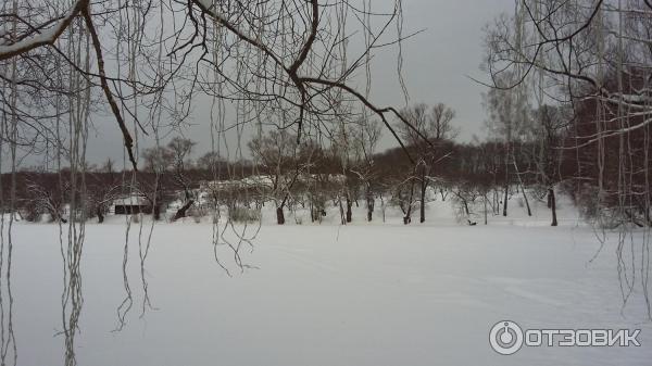 Ясная Поляна (Россия, Тульская область) фото