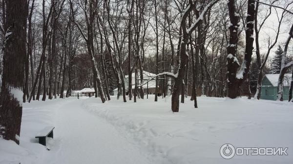 Ясная Поляна (Россия, Тульская область) фото