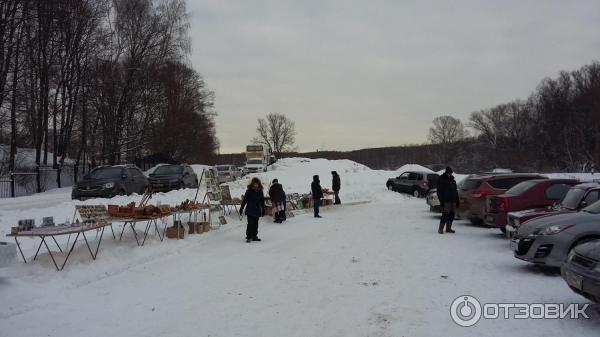 Ясная Поляна (Россия, Тульская область) фото