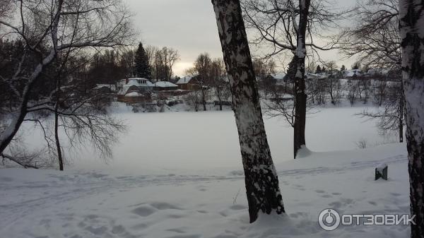 Ясная Поляна (Россия, Тульская область) фото