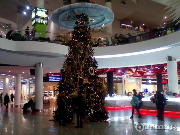 Аквариум в ТЦ Ocean Plaza (Украина, Киев) фото