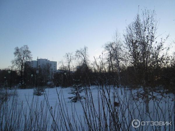 Сквер Загородный сад (Россия, Тюмень) фото