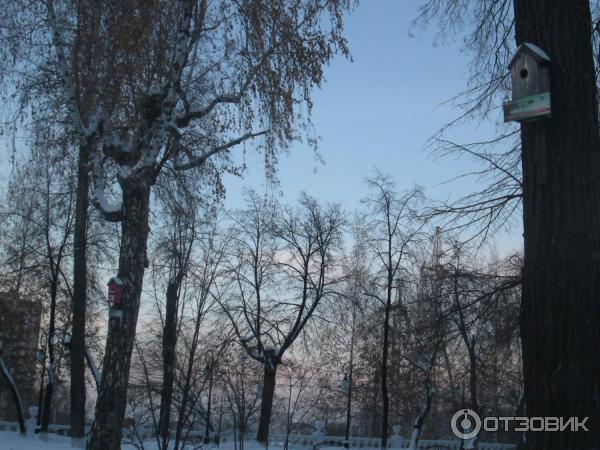 Сквер Загородный сад (Россия, Тюмень) фото