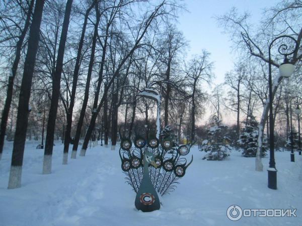 Сквер Загородный сад (Россия, Тюмень) фото