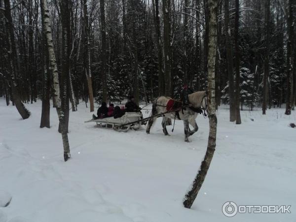 Экопарки Тульской области и Тулы - официальные сайты, …