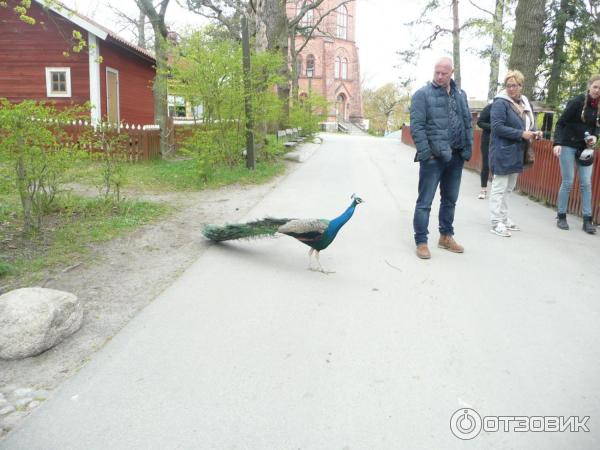 Музей Skansen (Швеция, Стокгольм) фото