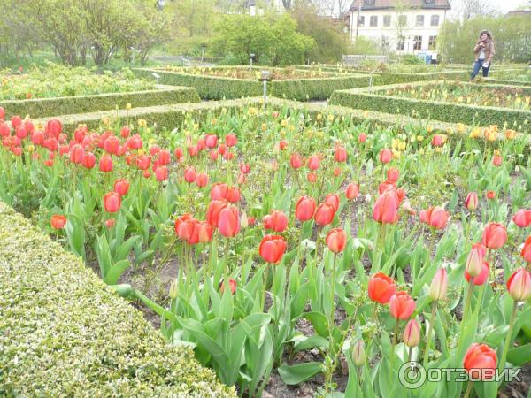 Музей Skansen (Швеция, Стокгольм) фото