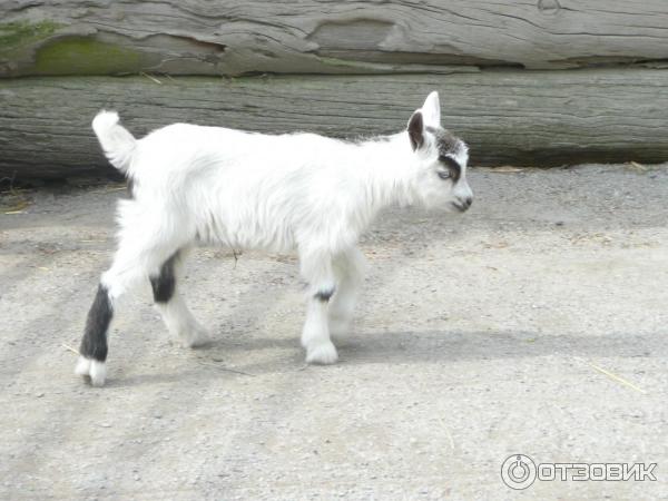 Музей Skansen (Швеция, Стокгольм) фото