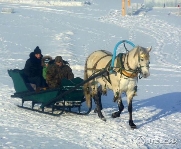 База отдыха Бригантина (Россия, Липецкая область) фото