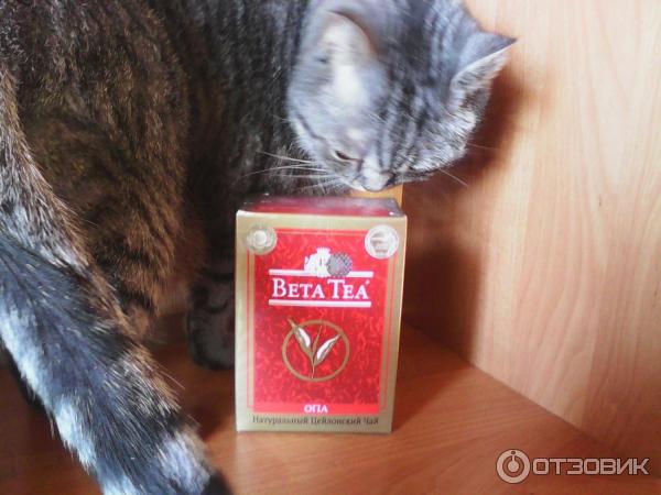 Чай черный крупнолистовой Beta Tea OPA фото