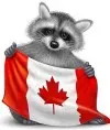 Raccoon80